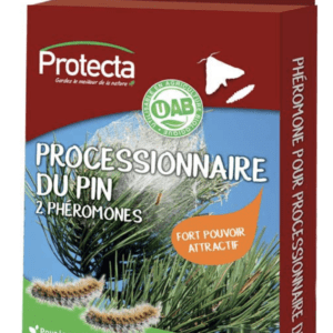 PROCESSIONNAIRE DU PIN