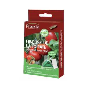 MINEUSE DE LA TOMATE